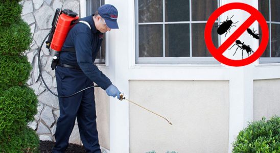 Çakmaklı Böcek ve Haşere İlaçlama böcek ilaçlama ve haşere kontrolü — ilaclama-tr.com